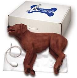 CasPeR the CPR Dog